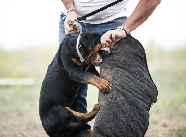 Protégez votre maison avec un générateur de brouillard innovant